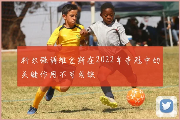 科尔强调维金斯在2022年夺冠中的关键作用不可或缺