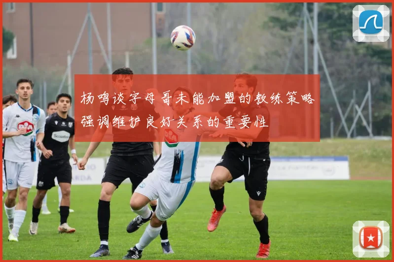 杨鸣谈字母哥未能加盟的教练策略强调维护良好关系的重要性
